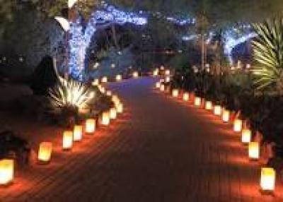 Luminaria Walkway
